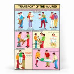 Transport of the Injured Chart
